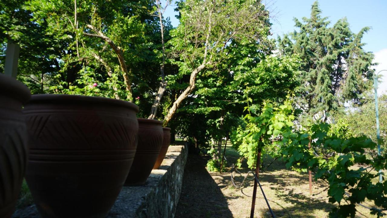 Kavet Palio Cottage PalaiónTsiflíkion Exterior foto